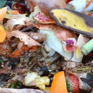 compost condominiale