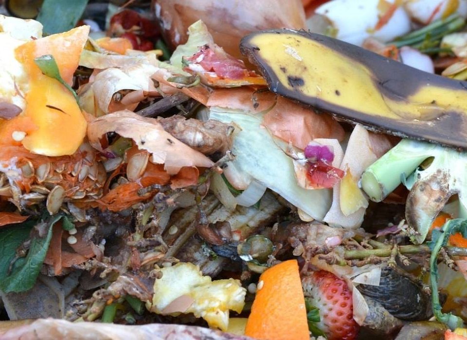 compost condominiale