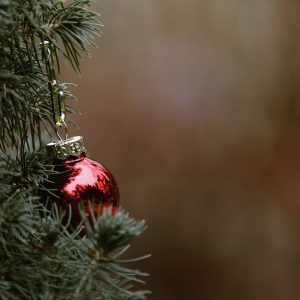 abeti_Natale
