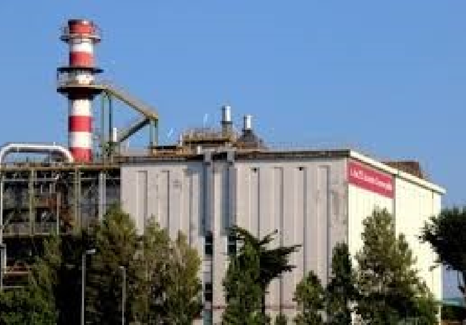 inceneritore Livorno