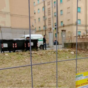 intervento derattizzazione a La Guglia
