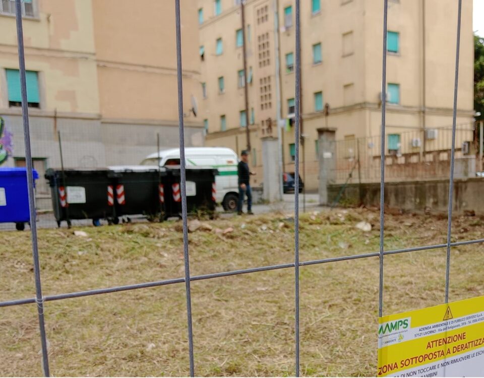 intervento derattizzazione a La Guglia
