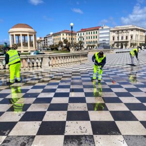 Terrazza Mascagni AAMPS meduse velelle