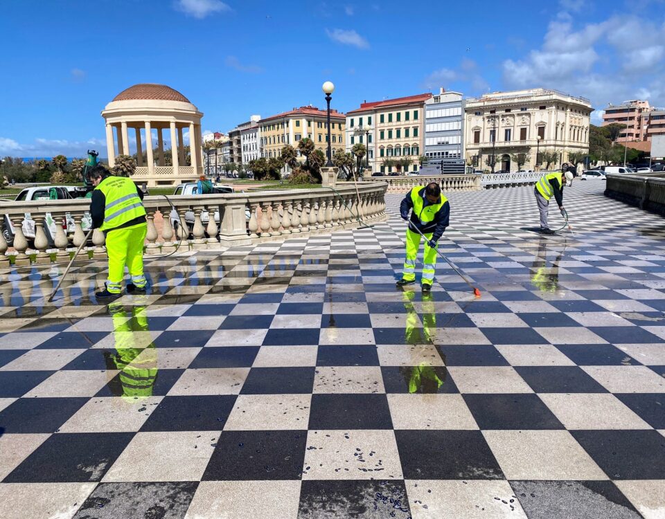 Terrazza Mascagni AAMPS meduse velelle